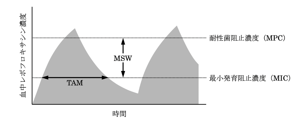 解説画像